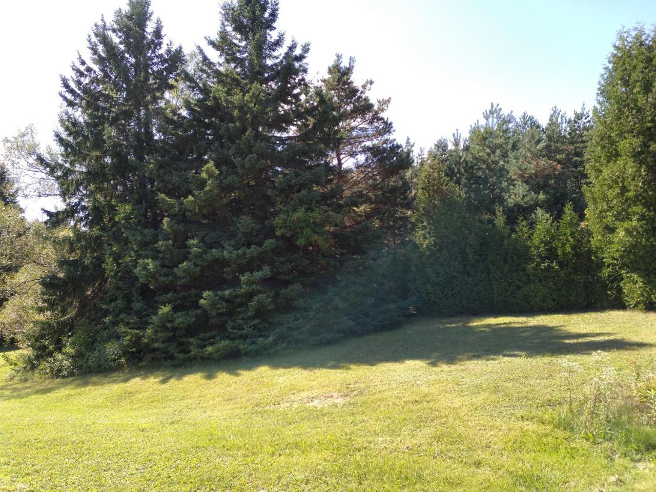 Auberge Pique Nique Shawinigan Ngoại thất bức ảnh